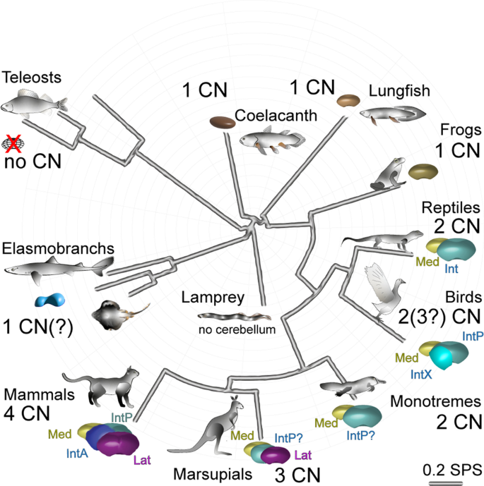 figure 15