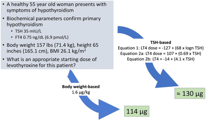 Levothyroxine Dose Adjustment to Optimise Therapy Throughout a Patient's  Lifetime | SpringerLink