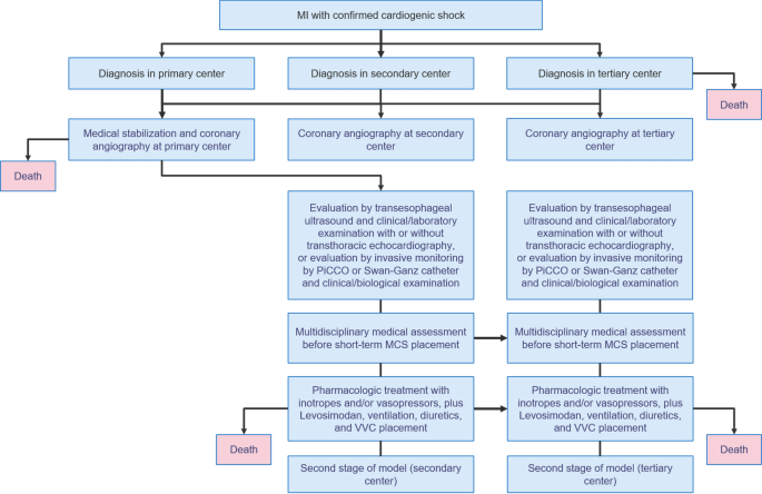 Budget Impact Analysis Of Impella Cp Utilization In The Management Of Cardiogenic Shock In France A Health Economic Analysis Springerlink