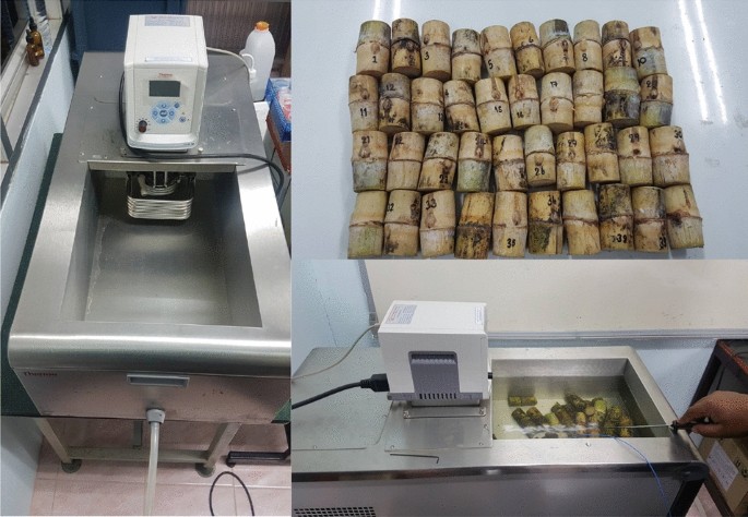 Products From Sugarcane