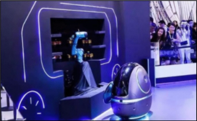 introduction to humanoid robotics