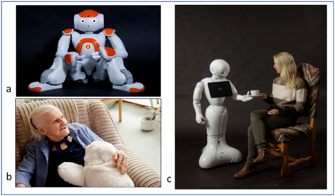 Social Robots Acceptance and Marketability in Italy and Germany: A  Cross-National Study Focusing on Assisted Living for Older Adults |  SpringerLink