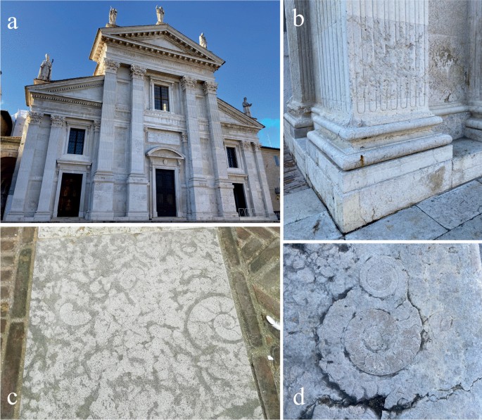 The Historic Centre of Urbino, UNESCO World Heritage (Marche Region,  Italy): an Urban-Geological Itinerary Across the Building and Ornamental  Stones | SpringerLink