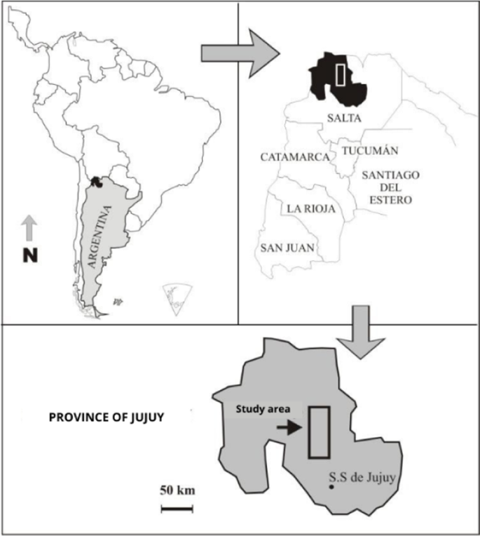 Geo-environmental Evolutionary Interpretation of Geosites Analysed in La  Quebrada de Humahuaca, Northwestern Argentina | SpringerLink