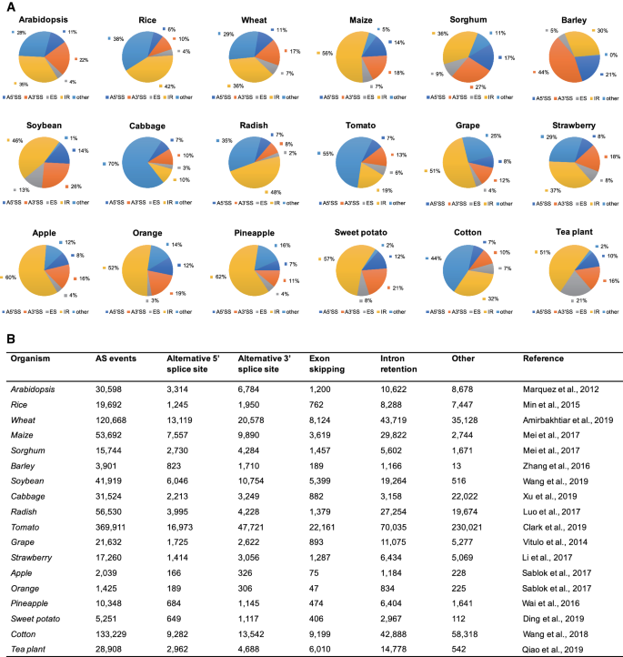 Alternative Splicing For Improving Abiotic Stress Tolerance And Agronomic Traits In Crop Plants Springerlink