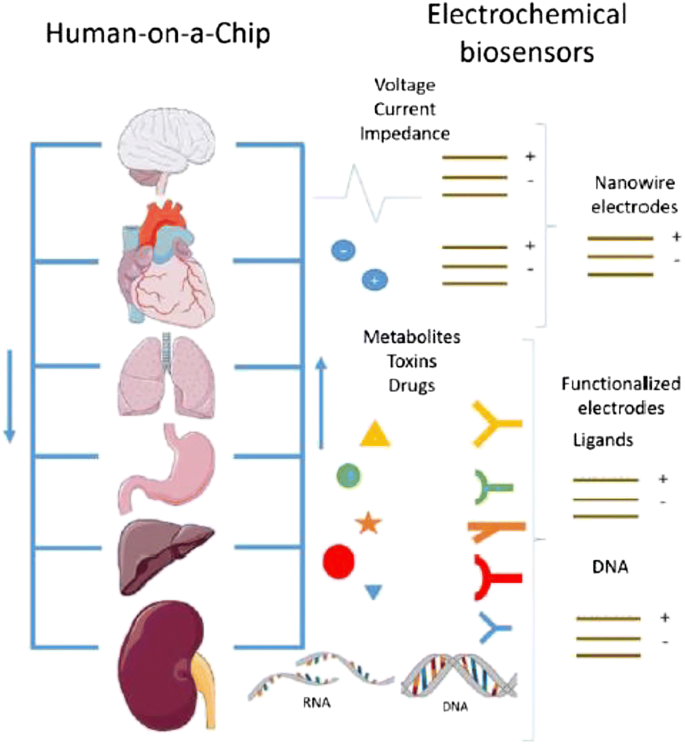 figure 14