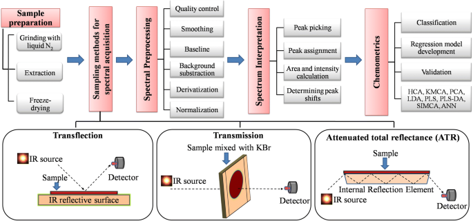 Authentication and Quality Assessment of Meat Products by Fourier ...