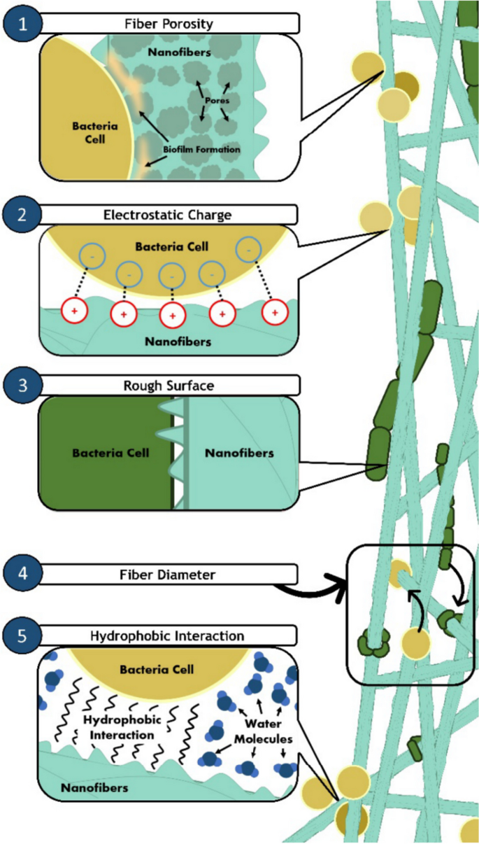 Innovative Applications of Electrospun Nanofibers Loaded with Bacterial  Cells Towards Sustainable Agri-Food Systems and Regulatory Compliance |  Food Engineering Reviews