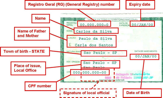 Empowerment or repression? Opening up questions of identification and  surveillance in Brazil through a case of 'identity fraud' | SpringerLink