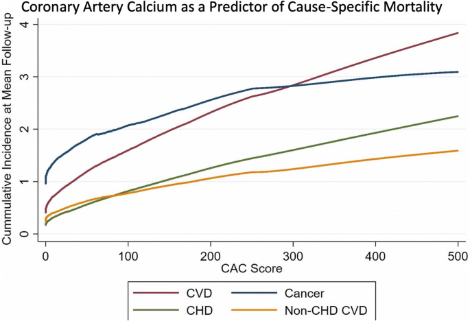 Coronary calcium score 133