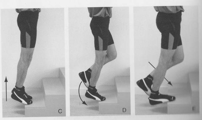 Diagnostiek En Behandeling Van De Meest Voorkomende Blessures Springerlink