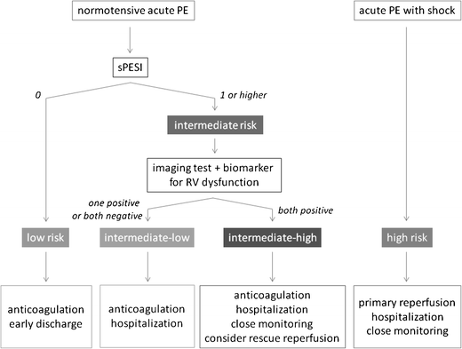 Risk-stratification in normotensive acute pulmonary embolism | SpringerLink