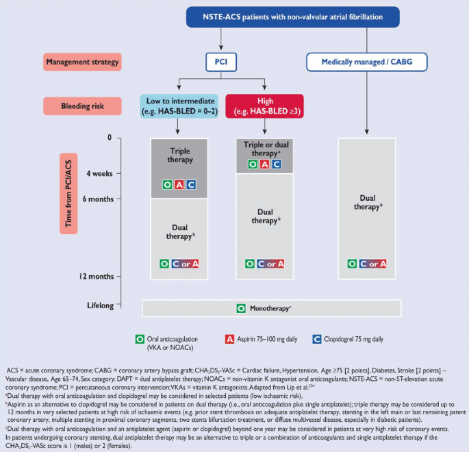 2015 ESC guidelines for the management of acute coronary syndromes in  patients presenting without persistent ST-segment elevation: comments from  the Dutch ACS working group | SpringerLink