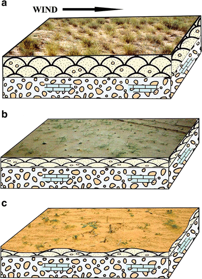 figure 22