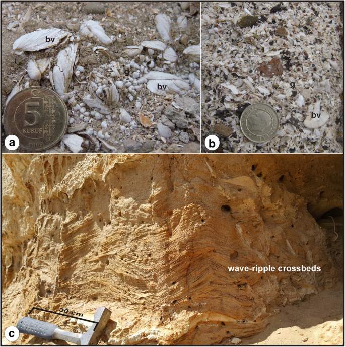 Late Quaternary Lacustrine Storm Deposits Sedimentological Properties And Regional Significance Lake Van Basin Eastern Turkey Springerlink