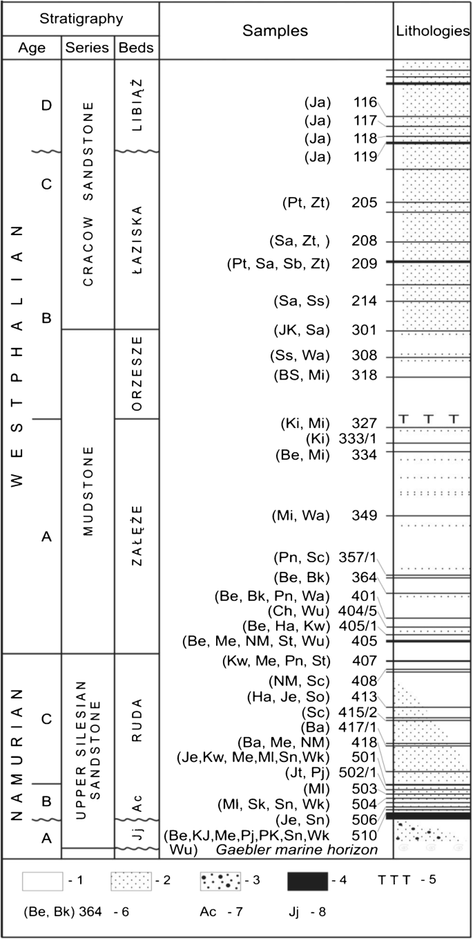 Modes Of Occurrence Of Ecotoxic Elements In Coal From The Upper Silesian Coal Basin Poland Springerlink