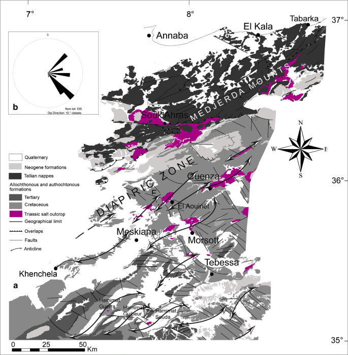 Mineral Deposits Of Northeastern Algeria Southern Medjerda Mounts And Diapiric Zone Regional Scale Structural Controls Spatial Distribution And Importance Of Geophysical Lineaments Springerlink