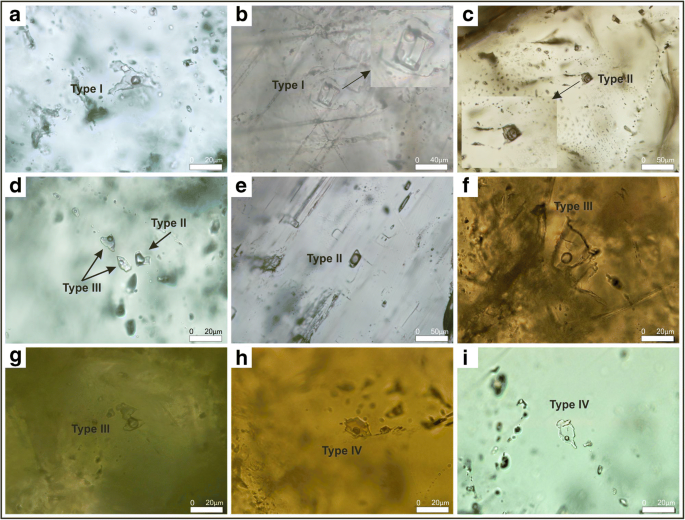 Geochemistry Microthermometry And C And O Isotope Constraints On The Origin Of The Duzkoy Fe Cu Skarn Deposit Gumushane Ne Turkey Springerlink
