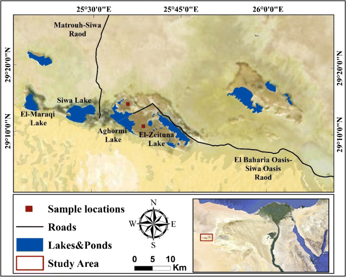 Siwa Oasis Egypt Map Evaluation Of Salts In Salt Pans, Siwa Oasis, Egypt | Springerlink