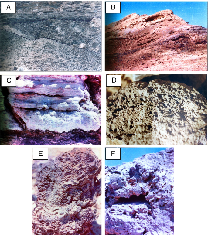 Diagenesis and pervasive dolomitization of pre- and post evaporite shallow  marine carbonates, Ras Banas Peninsula, Red Sea Coast, Egypt | SpringerLink
