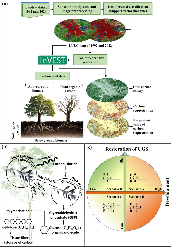 Scenariobased modelling of carbon storage and sequestration using