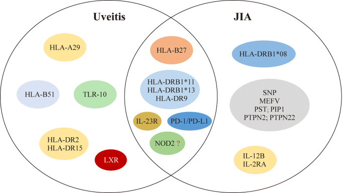 juvenile rheumatoid arthritis hla b27 refacerea preparatelor articulațiilor cartilaginoase