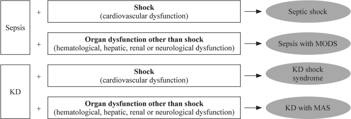 Macrophage activation syndrome in children with Kawasaki disease:  diagnostic and therapeutic approaches | SpringerLink