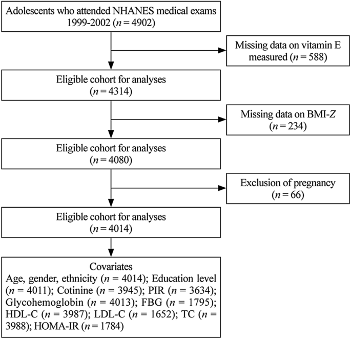 Serum Vitamin E Concentration Is Negatively Associated With Body Mass Index Change In Girls Not Boys During Adolescence Springerlink