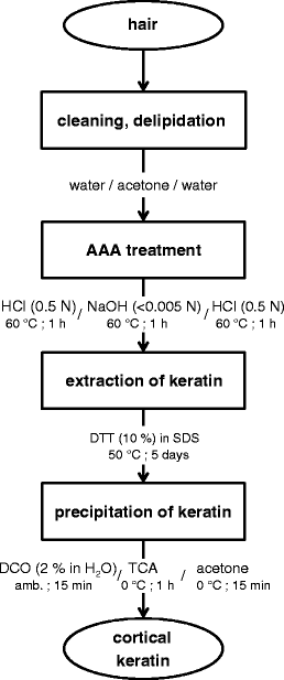 A New Protocol For Radiocarbon Dating Of Hair And Keratin Type Samples Application To An Andean Mummy From The National Museum Of Natural History In Paris Springerlink