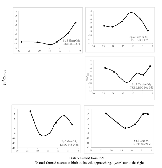 Animal husbandry in the Early and Middle Neolithic settlement at Kopydłowo in the Polish lowlands. A multi-isotope perspective | SpringerLink Animal husbandry in the Early and Middle Neolithic settlement at Kopydłowo in the Polish lowlands. A multi-isotope perspective | SpringerLink