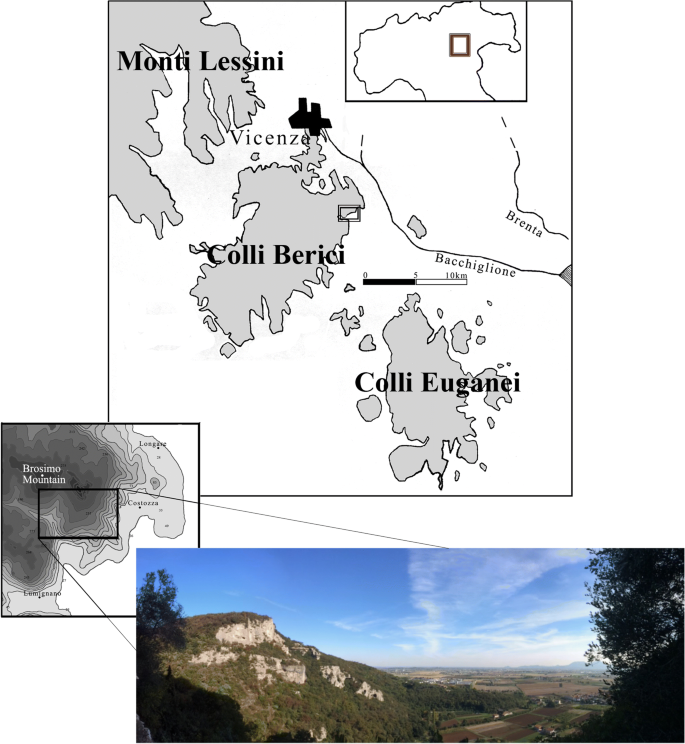 The Uluzzian in the north of Italy: insights around the new evidence at  Riparo Broion | SpringerLink