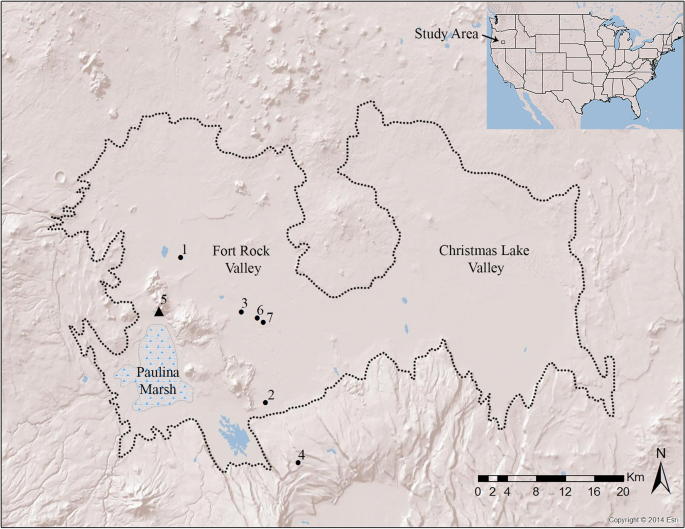 Middle Holocene Menus Dietary Reconstruction From Coprolites At The Connley Caves Oregon Usa Springerlink