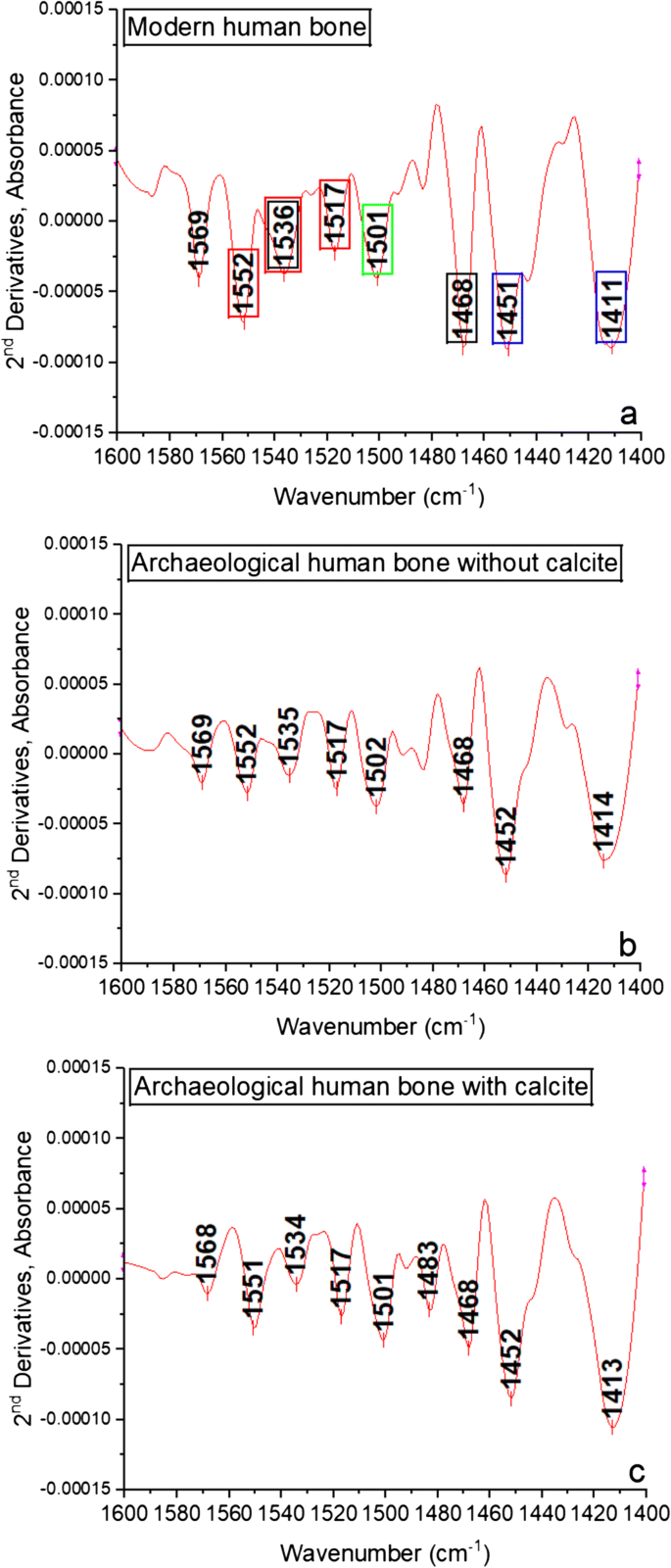 Bone diagenesis in a Mycenaean secondary burial (Kastrouli, Greece) |  SpringerLink