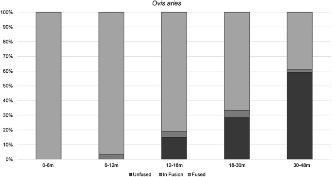 Sheep Exploitation And Husbandry In First Farming Societies From Production To Consumption In Central Pyrenees In The Early Neolithic Springerlink Sheep Exploitation And Husbandry In First Farming Societies From Production To Consumption In Central Pyrenees In The Early Neolithic Springerlink