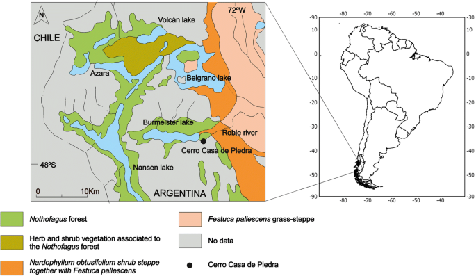 Palynological Analysis Of The Outer Parts Of Camelid Coprolites Implications For Vegetation Reconstruction Springerlink Palynological Analysis Of The Outer Parts Of Camelid Coprolites Implications For Vegetation Reconstruction Springerlink