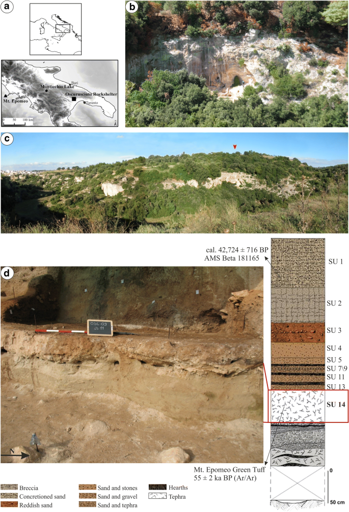 Neanderthal Occupation During The Tephra Fall Out Technical And Hunting Behaviours Sedimentology And Settlement Patterns In Su 14 Of Oscurusciuto Rock Shelter Ginosa Southern Italy Springerlink