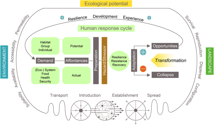 From landscape affordances to landscape connectivity: an of human ecology | SpringerLink