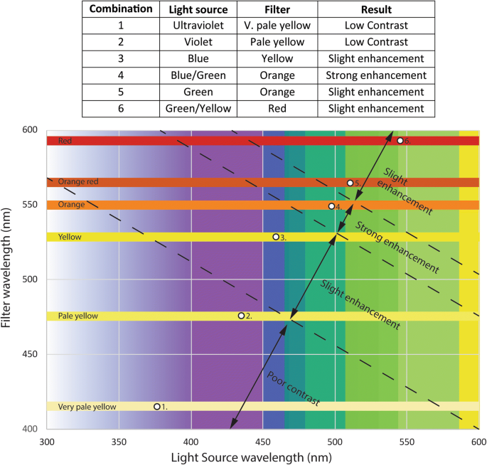 A Life Less Ordinary Analysis Of The Uniquely Preserved Tattooed Dermal Remains Of An Individual From 19th Century France Springerlink