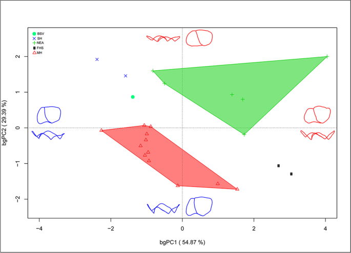 figure 15