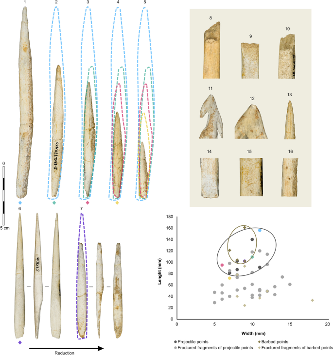 figure 11