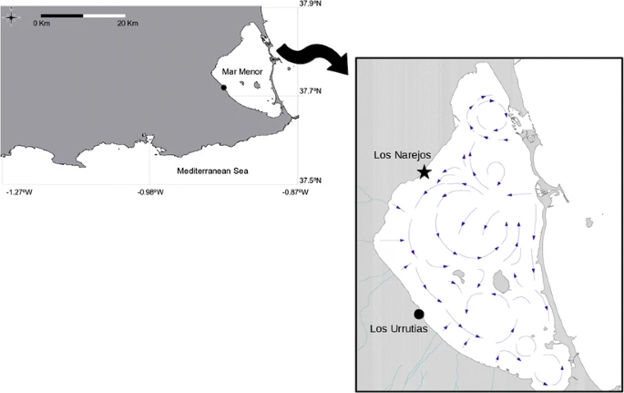 graphic_overview