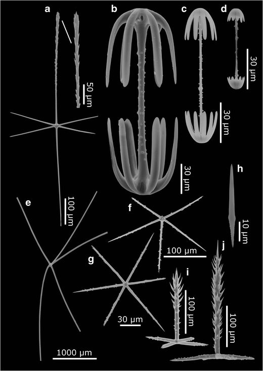 figure 19