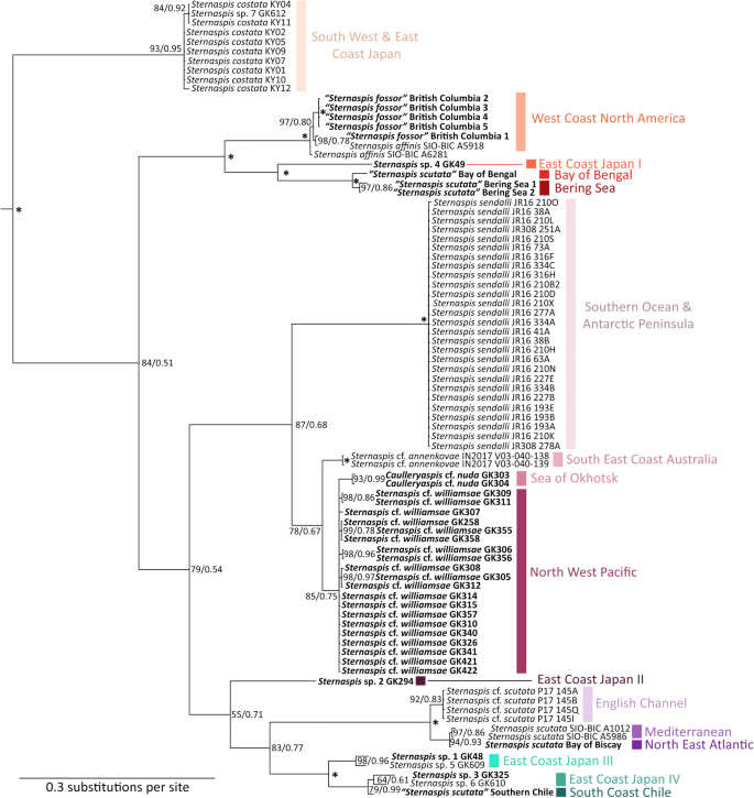 figure 17