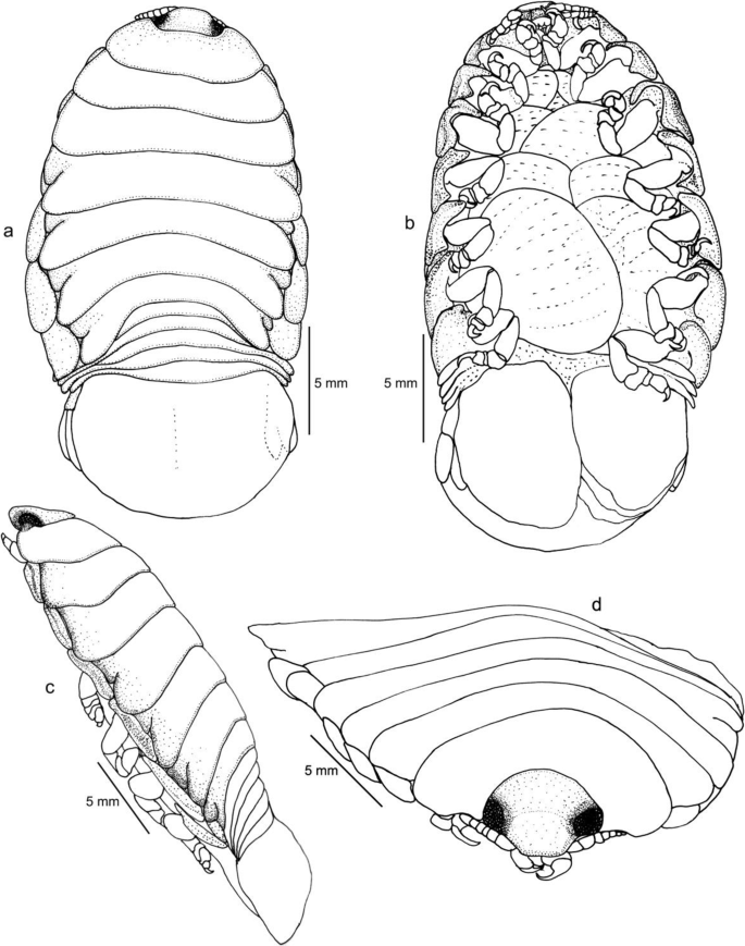 figure 24