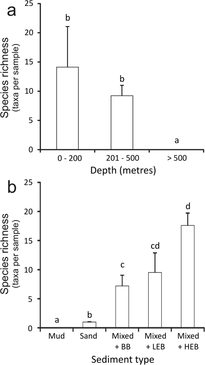 Bryozoans From Chella Bank Seco De Los Olivos With The Description Of A New Species And Some New Records For The Mediterranean Sea Springerlink