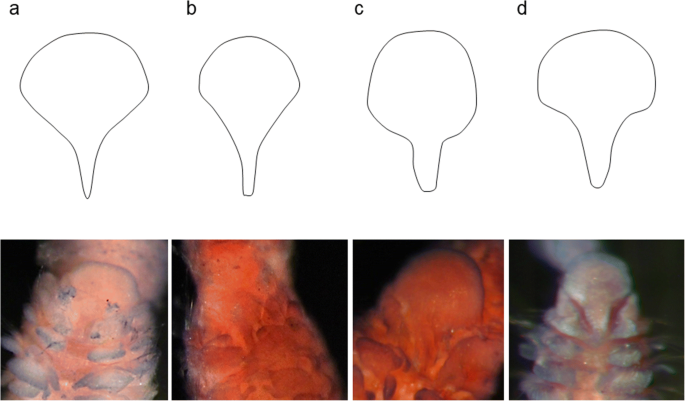 figure 16