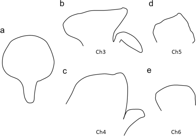 figure 24