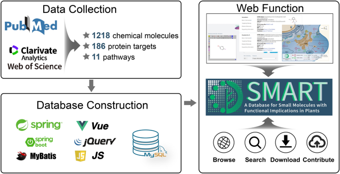 SMART v1.0: A Database for Small Molecules with Functional Implications in  Plants | SpringerLink