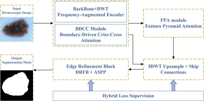 EASNet: Edge-aware Segmentation Network for Skin Lesion Segmentation ...