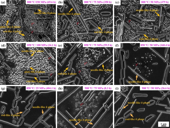 Creep Failure And Damage Mechanism Of Inconel 718 Alloy At 800 900 C Springerlink